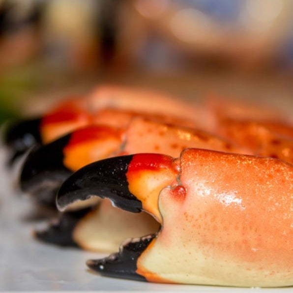 JUMBO FLORIDA STONE CRAB CLAWS - 3 PIECES - WILL EXCEED 1 LB!
