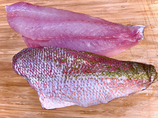 Yellowtail Snapper Fillet Brazilian Yellowtail Snapper